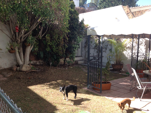 Centro Veterinario HAPPY PETS