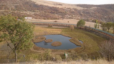 Photos of Floating Islands Natural Monument