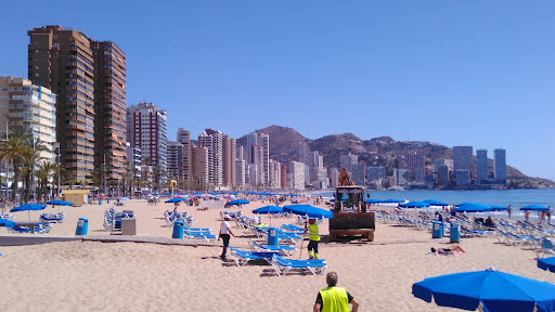 C. Esperanto, 4 [Benidorm] - Thumbnail