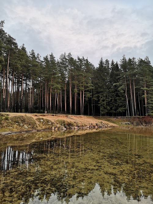 Paplateles cognitive path