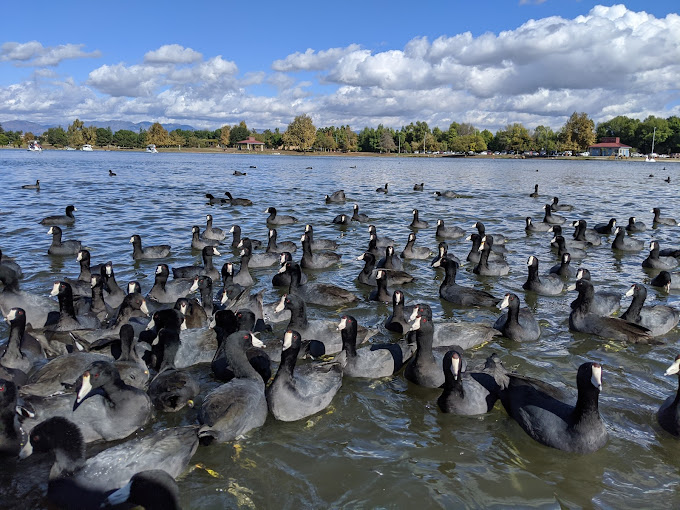 Lake Balboa/Anthony C. Beilenson Park