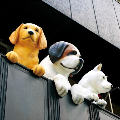 名古屋動物専門学校