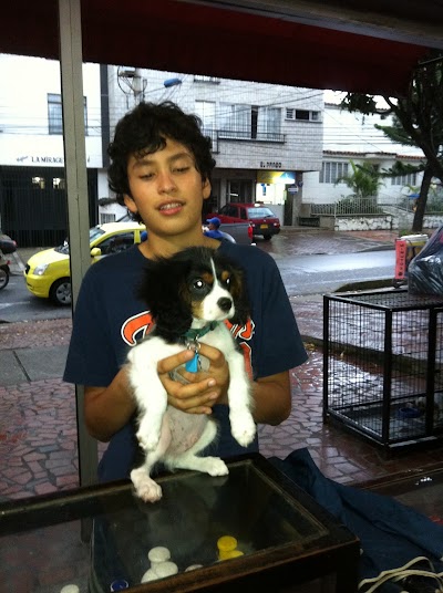 Photos of Policl&iacute;nica Veterinaria