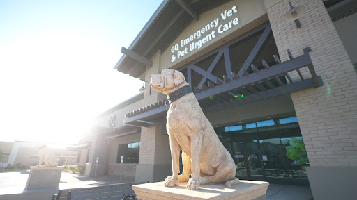 Gilbert Queen Creek Veterinary Surgical Specialist - Thumbnail