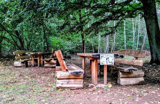 Dicke Eiche Kleinottweiler Gallery - Germany
