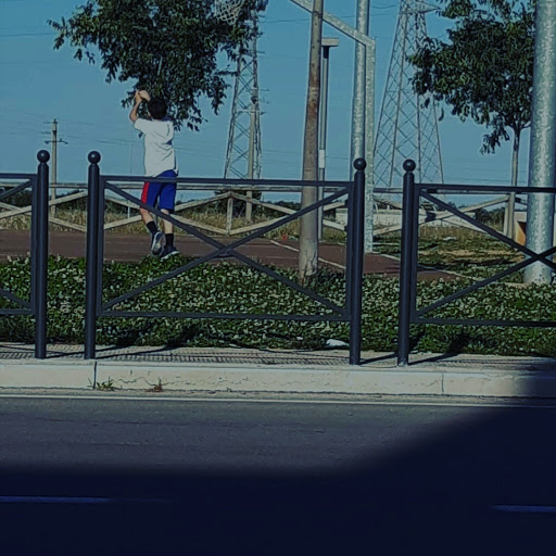 Parco Comunale Loseto - Thumbnail