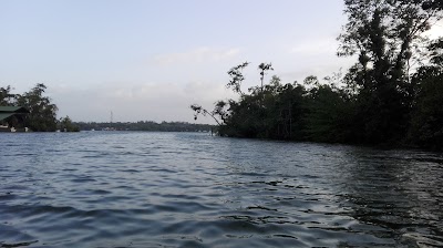 Photos of Calypso Marina