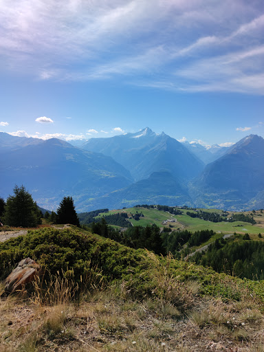 Bosco del Mont Fallere