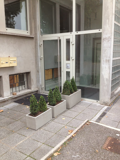 Dr BISSON Bertrand - Dentiste - Metz - Thumbnail
