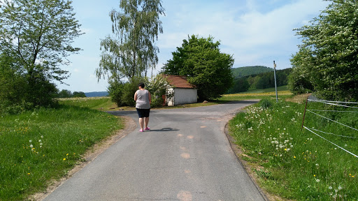 Islandpferde vom Kapellchen - Thumbnail