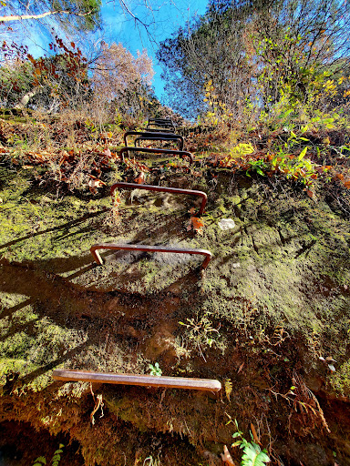 Sentry Bluff Trailhead - Thumbnail