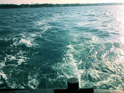 Photos of Delft Island