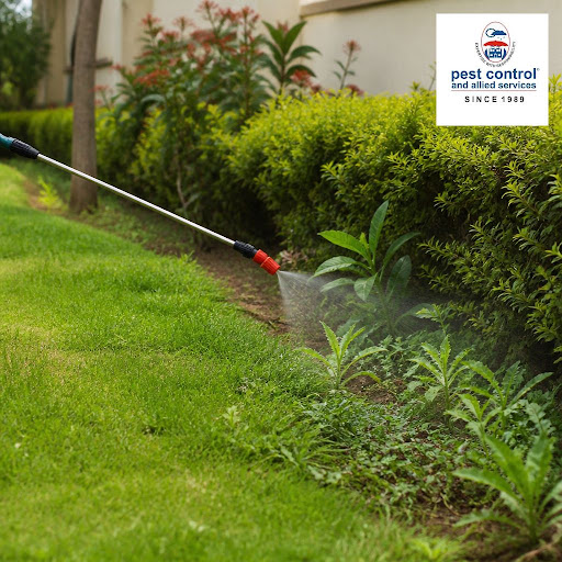 Unwanted weeds can quickly spoil the look of your garden and damage plants by stealing nutrients,… post image