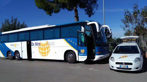 De Mite Viaggi - Visual