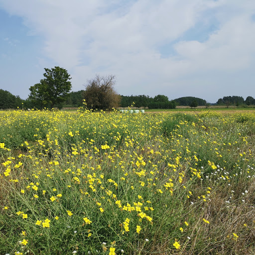 Semmerweg - Visual