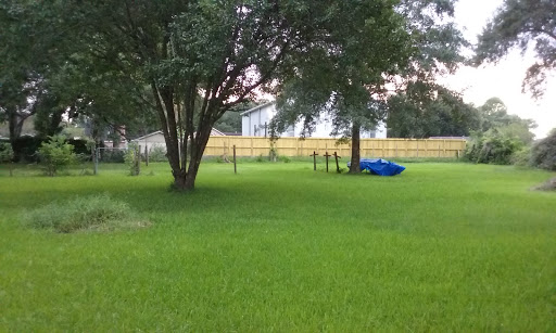 Almeda Park - Visual