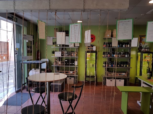 Flor De Llúpol