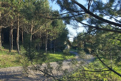 Photos of Pakaso sodyba