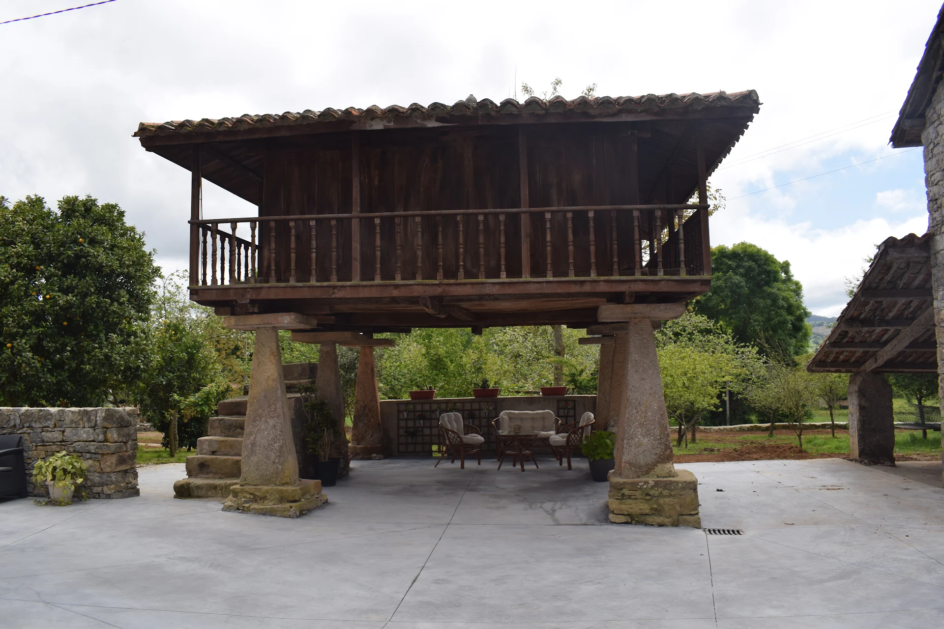 L`ARBOLEA DE RODILES