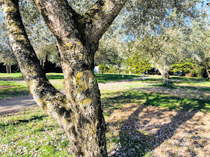 Photo n°57 de Camping GCU - Sarzeau à Sarzeau (Terrain pour camping-cars)