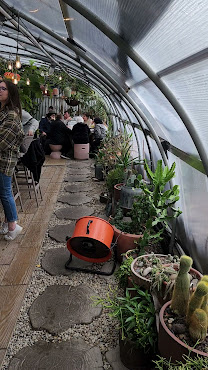 Greenhouse Bar by null