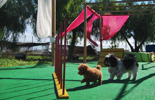 Hotel para perros Mary's Pet Hotel