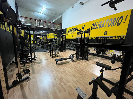Gimnasio Gym Puerto Palace