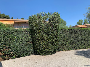 Photo n°11 de Lovazzani Jardins à Grasse (Paysagiste)