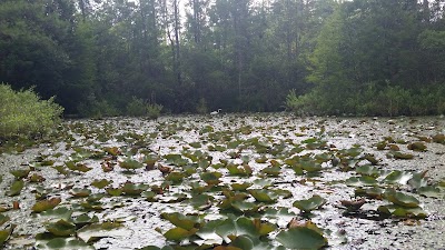 Photos of Cypress Gardens