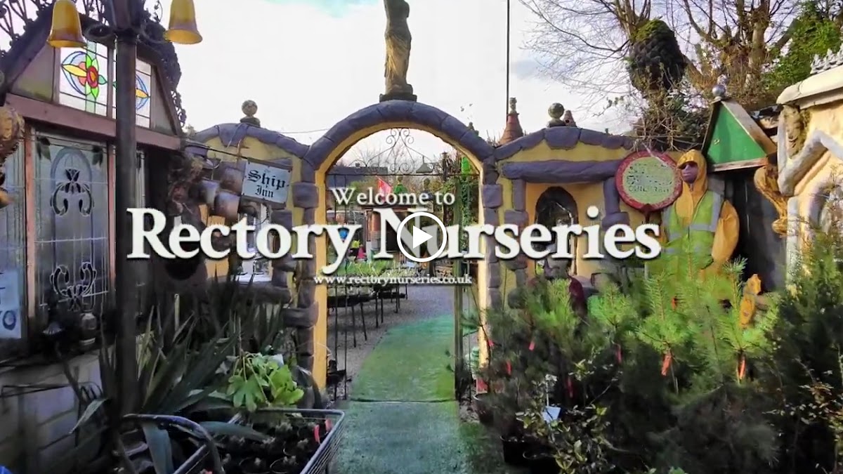 Rectory Nurseries