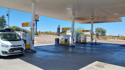 SHELL Talavera - Visual