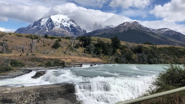 Opiniones de Tours Punta Arenas en Punta Arenas - Agencia de viajes