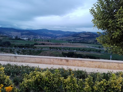Photos of Womens park