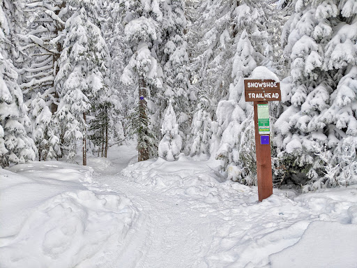 Silver Star Provincial Park Parking - Thumbnail