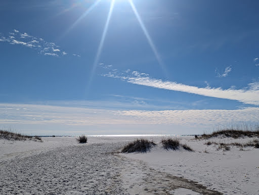 Shell Island Shuttle - Visual