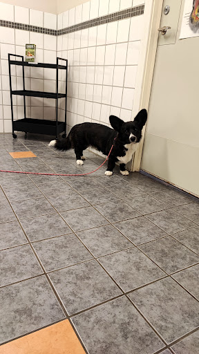 Evidensia Ugglarps gård Hästkliniken - Thumbnail