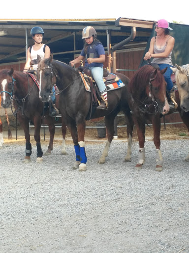 Zoo Ranch - Visual