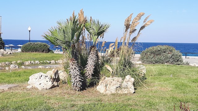 Eli Beach