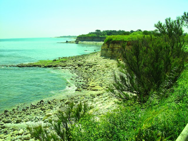 Phare De Chassiron