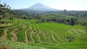 Photo n°3 de ECM Voyages à Saint-Dié-des-Vosges (Agence de voyages)