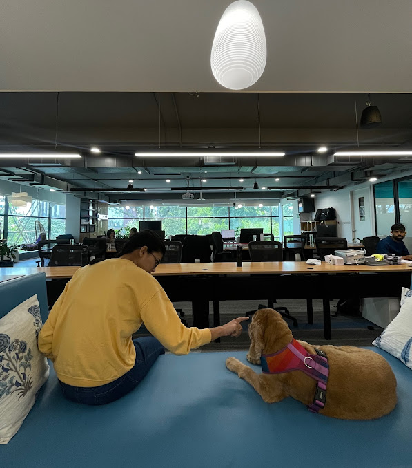 Af1qipojtes09ldrskez9ncddreadw07ma1zvndtler5=s677 K No