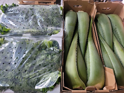 JISAN ALIMENTACIÓN - Thumbnail