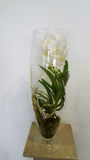 Floristería Zarcillos Gallery - Spain