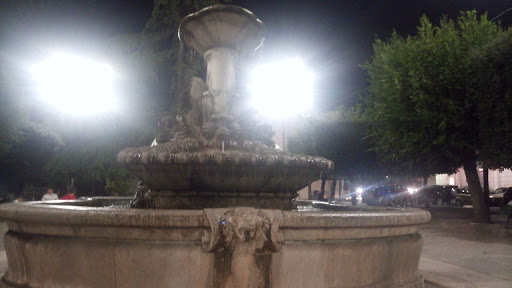 Fontana del Delfino - Thumbnail