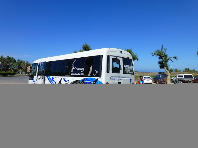 Ningaloo Reef Dive