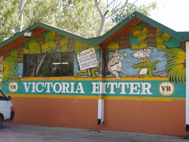 Mataranka Thermal Pool and Rainbow Springs