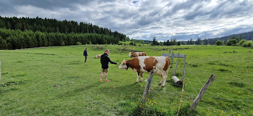 La Ferme des Louisots - Chambres d'Hôtes & Ferme-Auberge Gallery - France