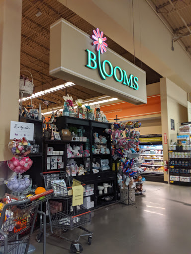 HEB Bloom - Visual
