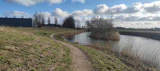Begraafplaats Sint Annaparochie - Thumbnail