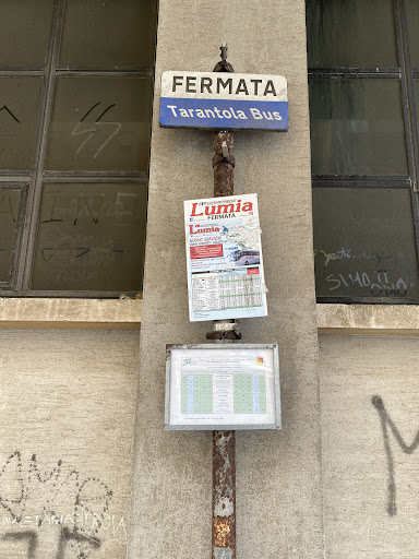 Fermata bus segesta aeroporto - Thumbnail